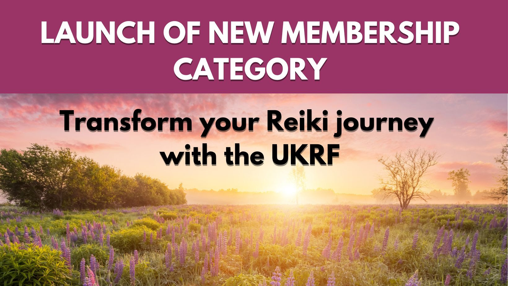 UK Reiki Federation Online Membership