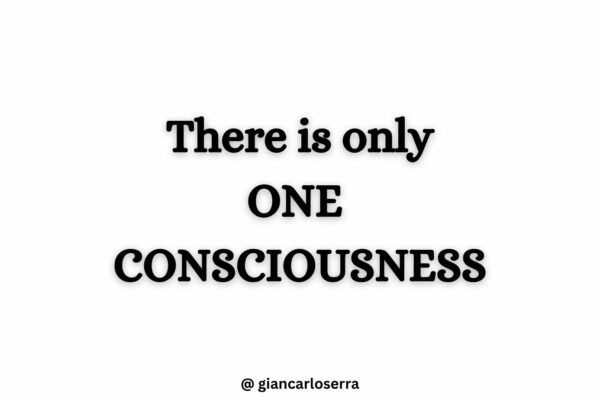there is only one consciousness
