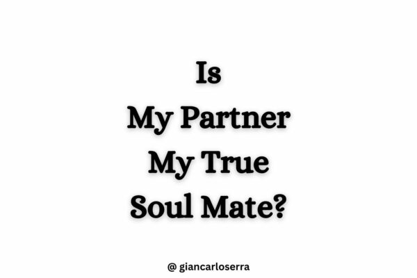 is my partner my true soul mate